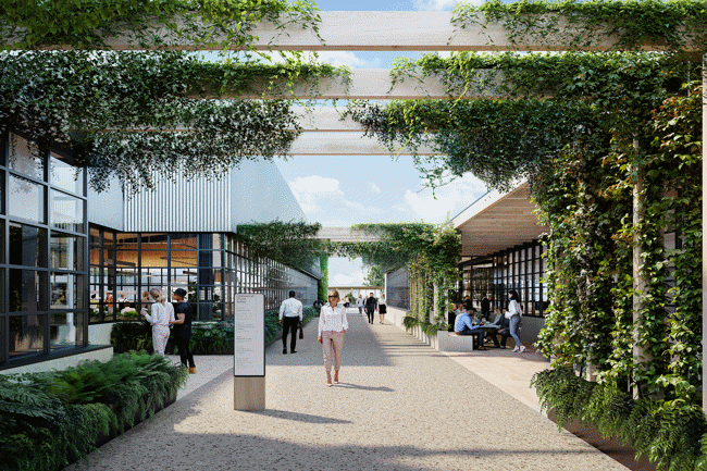 Fresh Look at Chatswood Chase Redevelopment Projects
