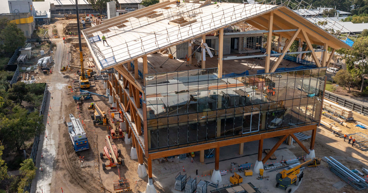 A world-leading timber structure for the future | News | Multiplex