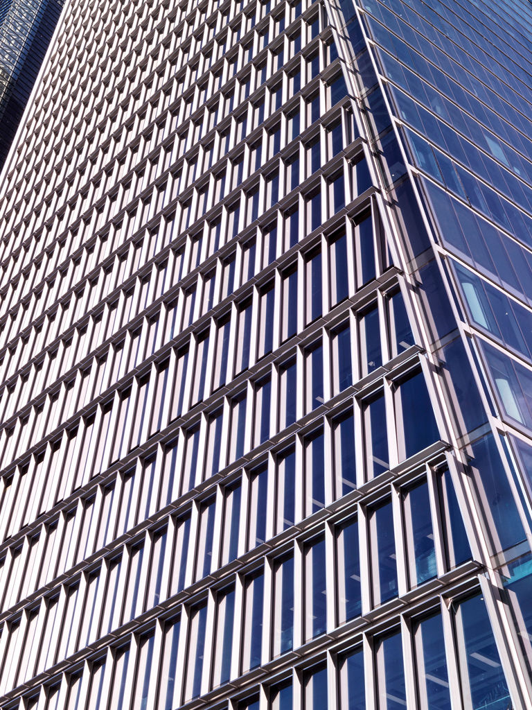 100 Projects Multiplex